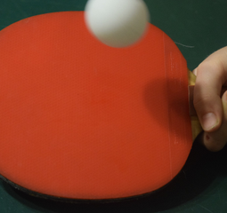 Club Minerva de Tenis de Mesa