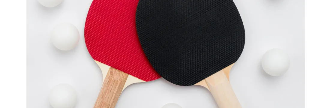 Club Minerva de Tenis de Mesa