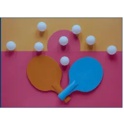 Club Minerva de Tenis de Mesa